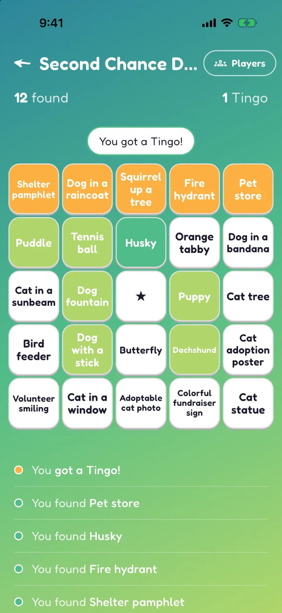A Let's Tingo board on a phone with dog walk finds marked, one row highlighted as a completed Tingo.