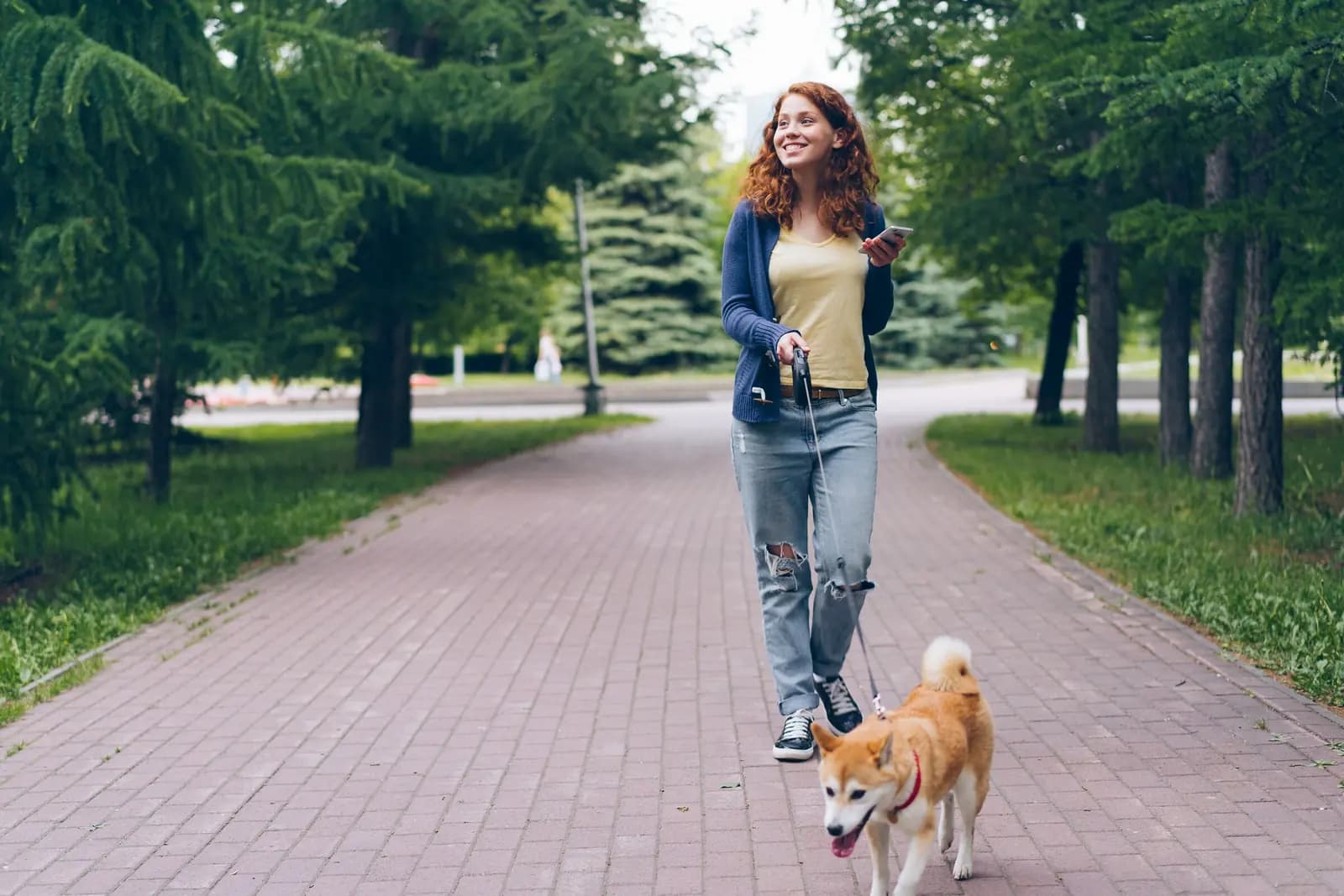 A smiling woman walks a shiba inu down a tree-lined brick path, a phone in her hand, looking off to the side.