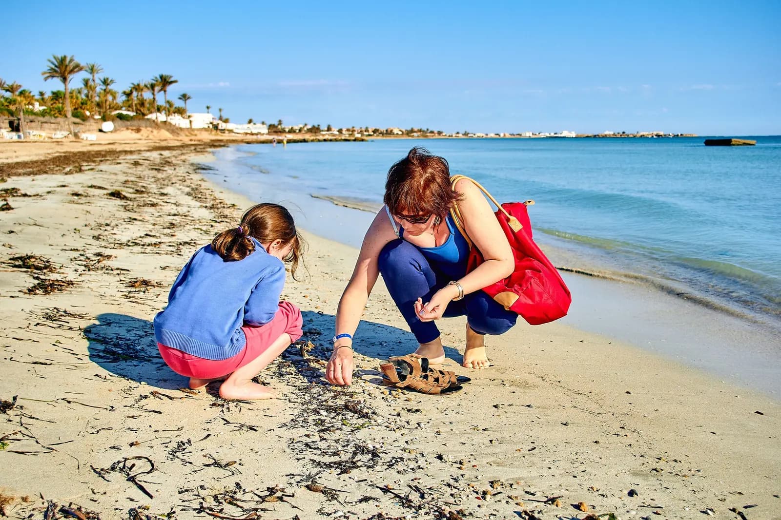 A parent and a child crouch on a sunny beach beside the water, looking for shells, with palm trees along the shore behind them.