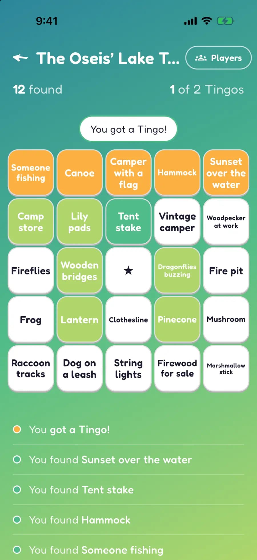 A Let's Tingo board on a phone with camping finds marked, one row highlighted as a completed Tingo.