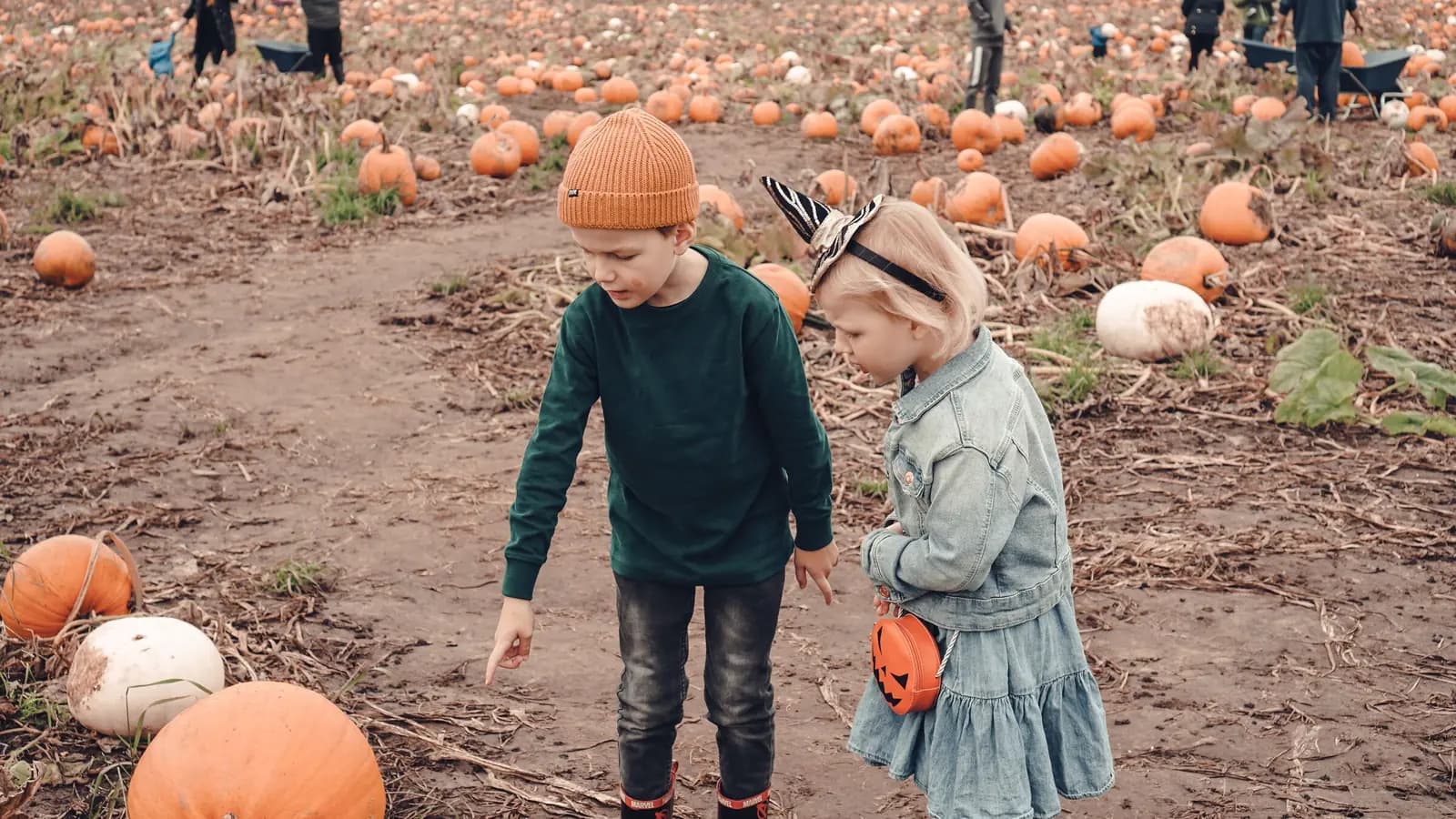 Two children stand in a pumpkin field, the boy pointing down at a pumpkin.
