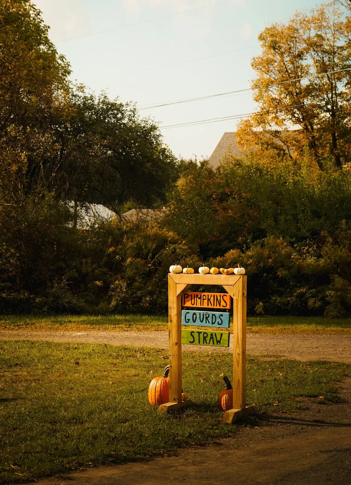 A wooden roadside farm sign for pumpkins, gourds and straw at the edge of a field.