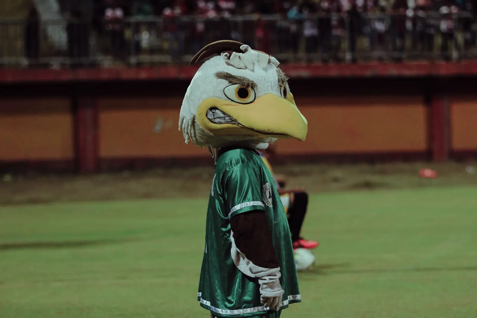 An eagle mascot in a green jersey stands on a field at a night game.