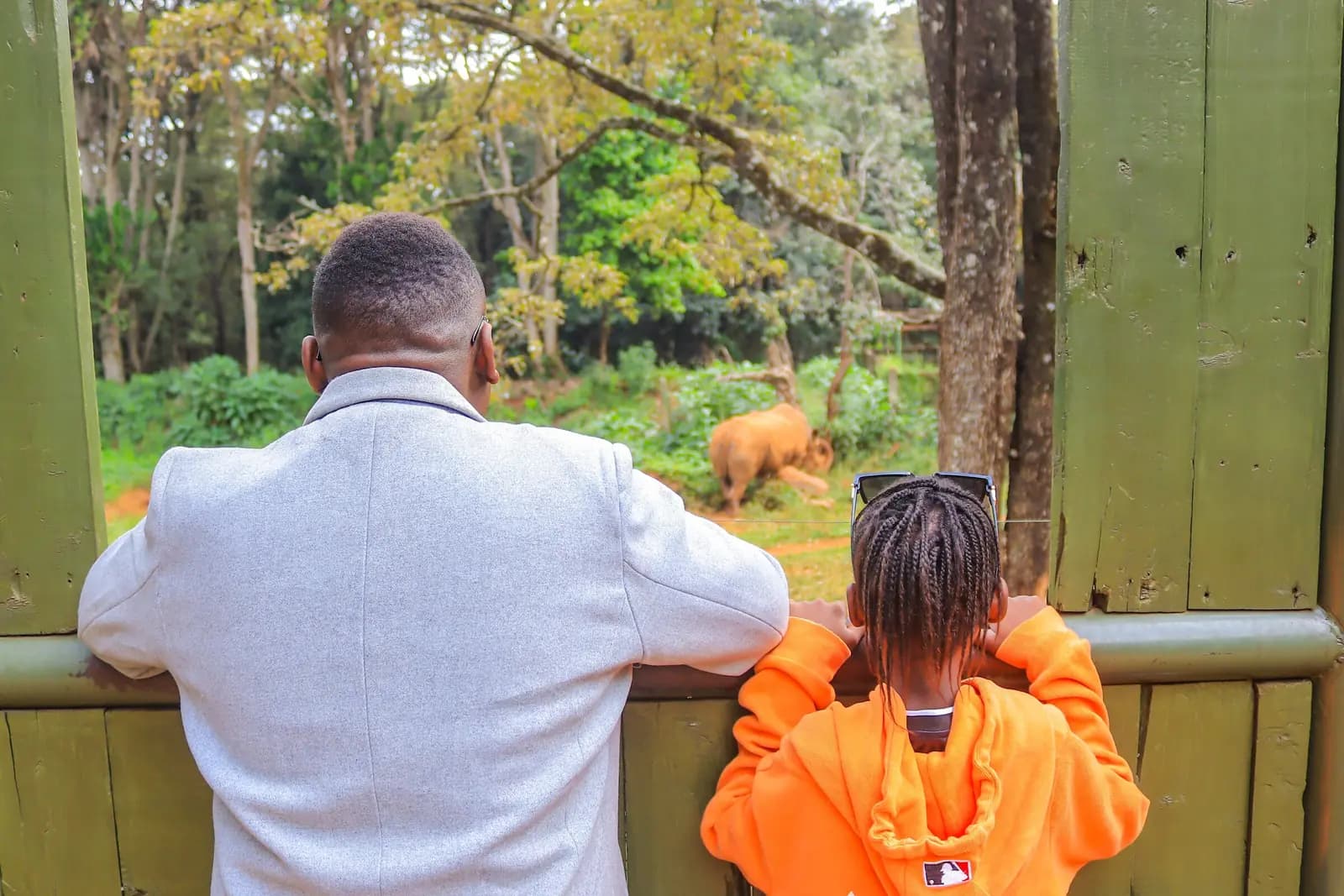A father and daughter seen from behind lean on a wooden rail, watching an elephant across the habitat.