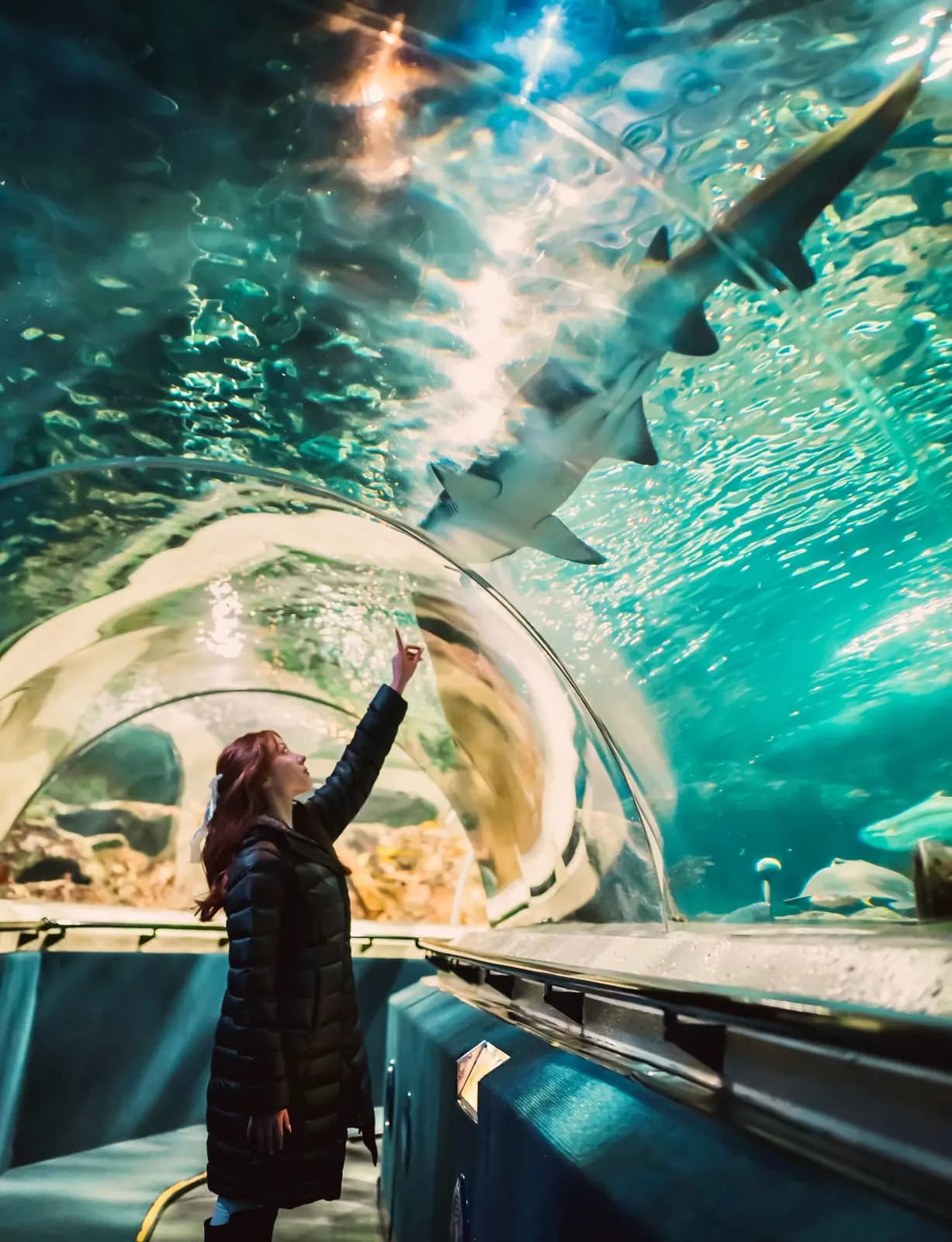 A woman in an aquarium tunnel reaches up toward a shark passing overhead.