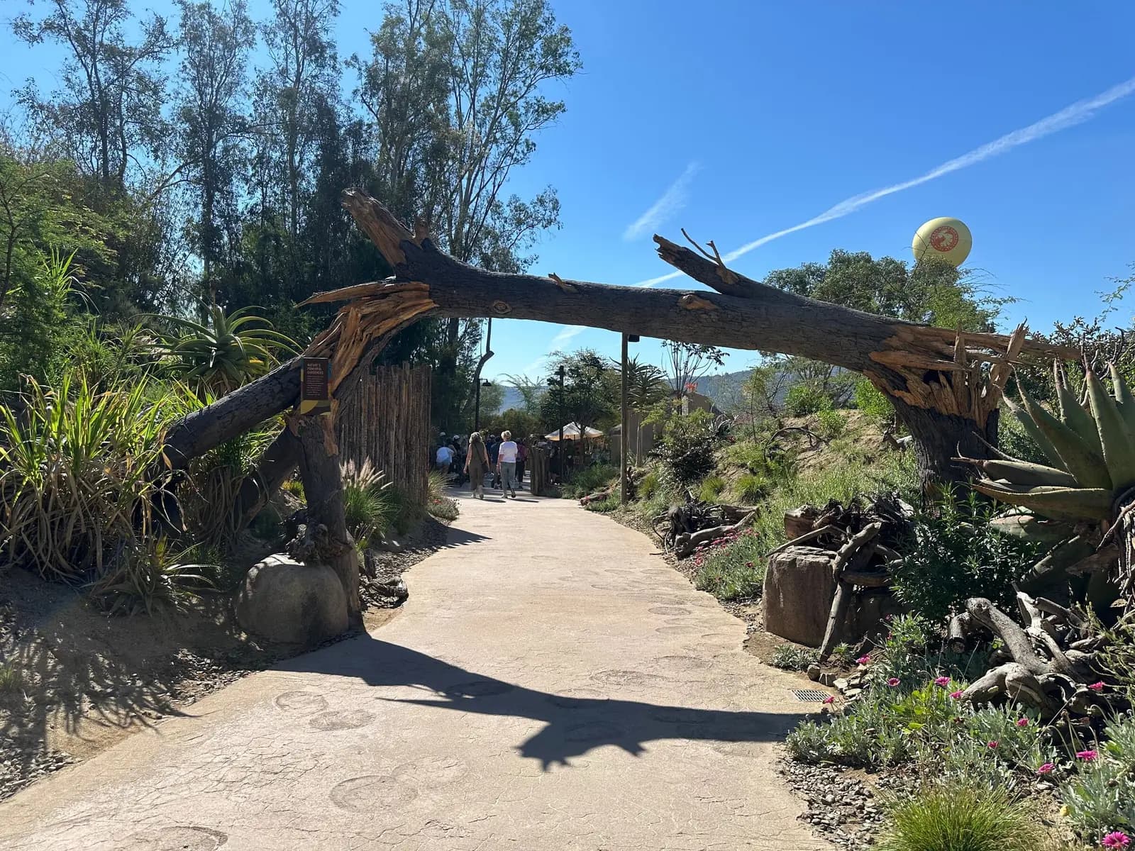 An empty zoo entrance path winds under an arch of fallen logs.