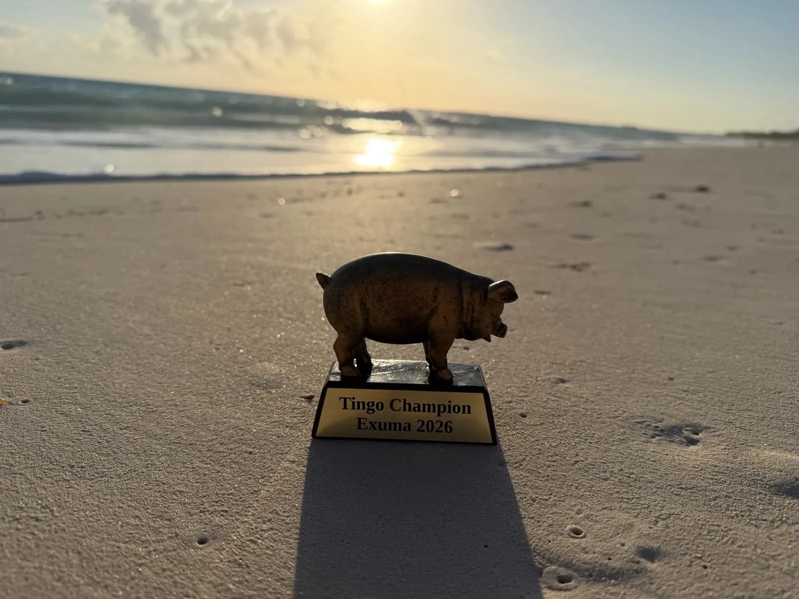 A small pig trophy engraved for the champion, standing on a sandy beach.