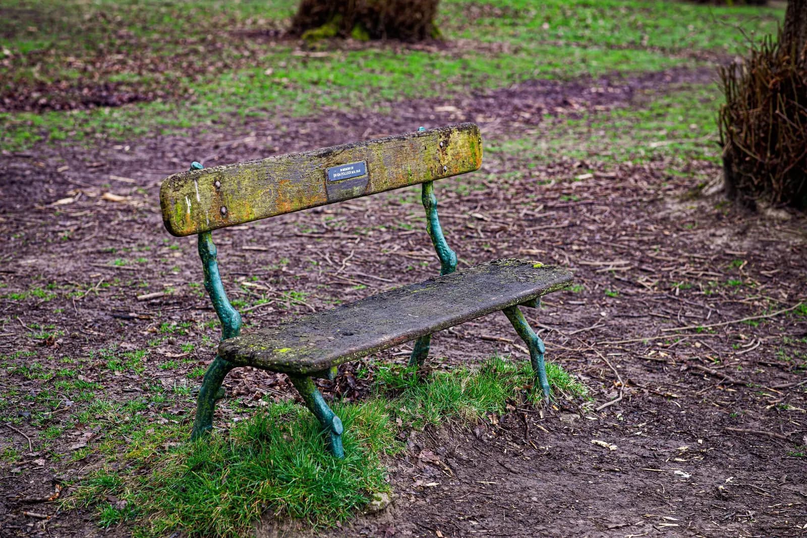 A weathered park bench with a small metal plaque on its backrest.