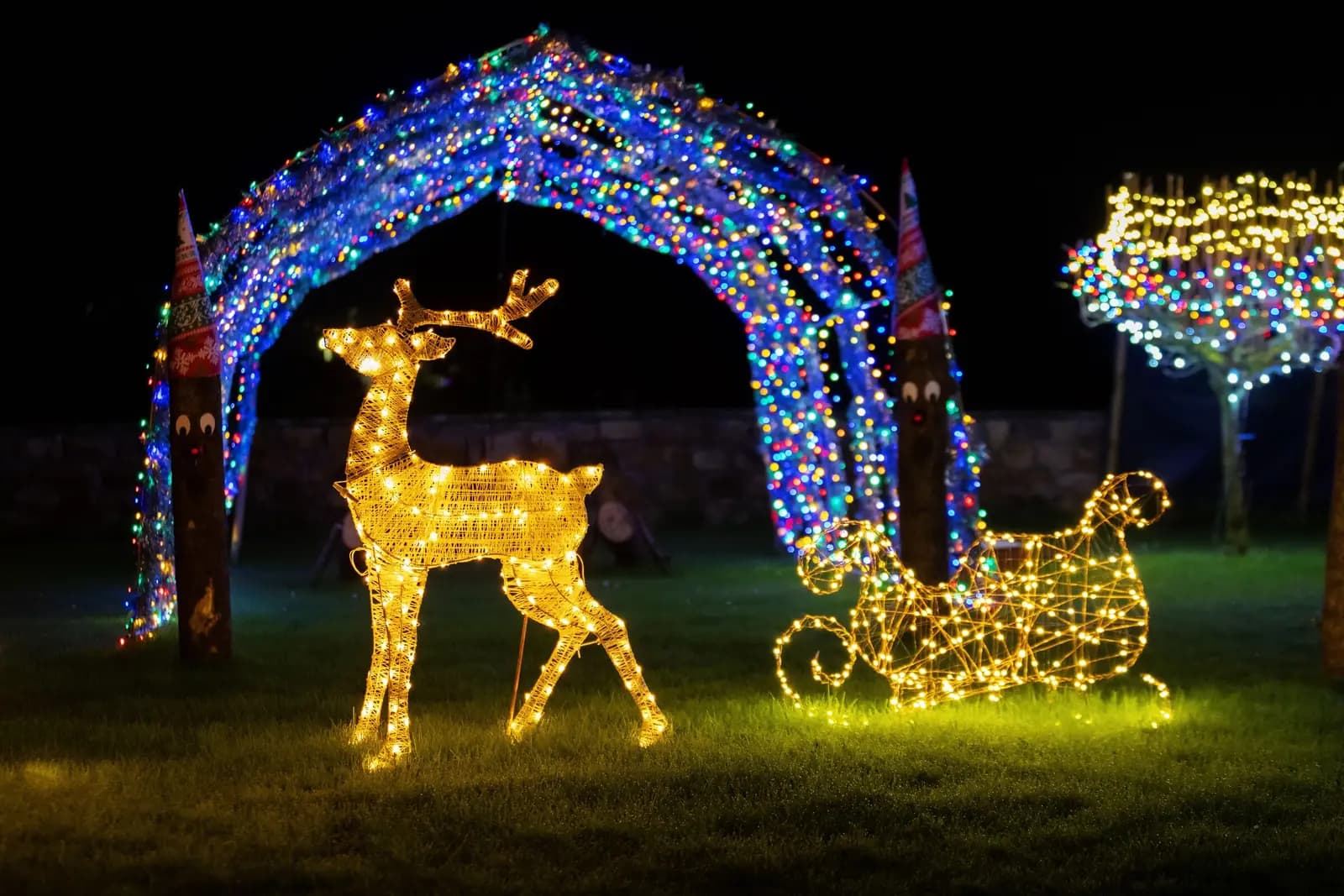 A gold light-up reindeer and sleigh on a lawn under an arch of lights at night.