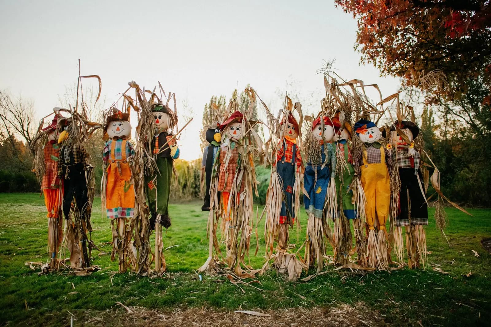 A row of scarecrows in overalls and hats lined up in a field.