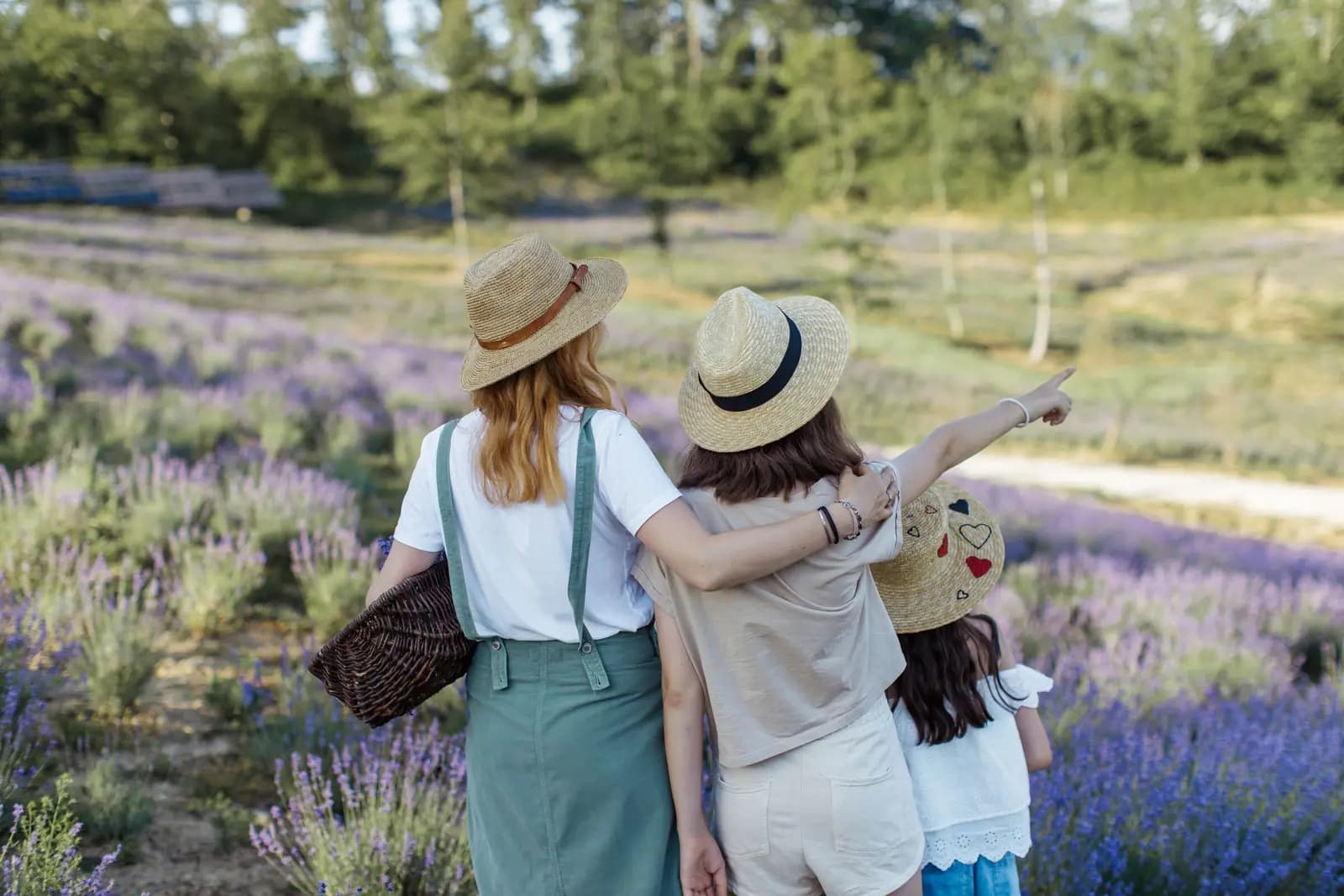 A mother, another woman and a girl in sun hats stand at a lavender field seen from behind, one of them pointing out across the rows.