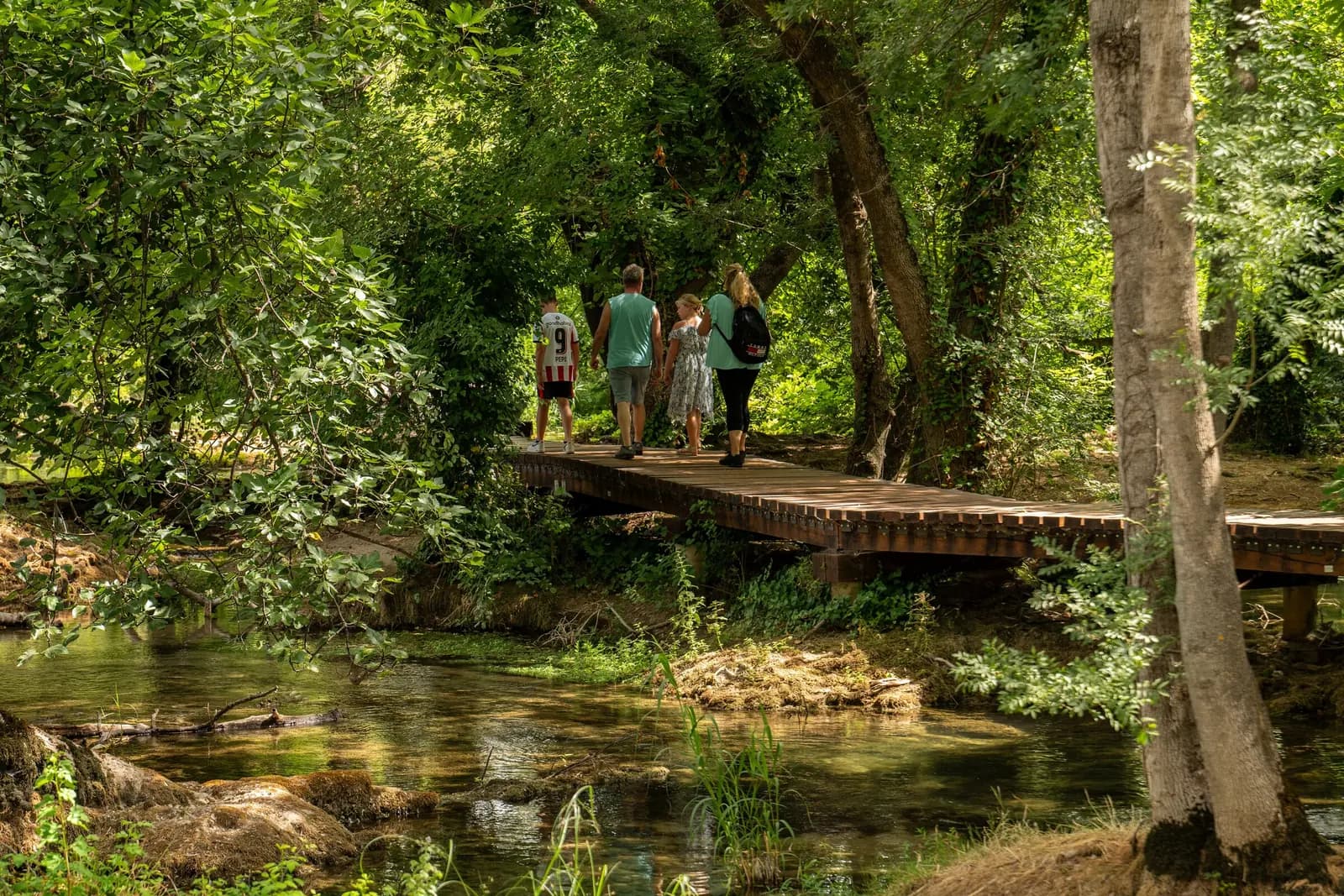A family walks along a wooden boardwalk over a clear stream in a green forest.
