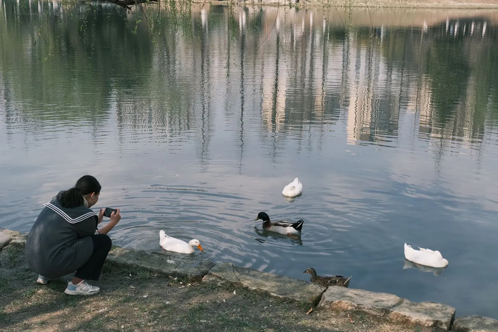 A woman crouches at the edge of a pond taking a phone photo of ducks.