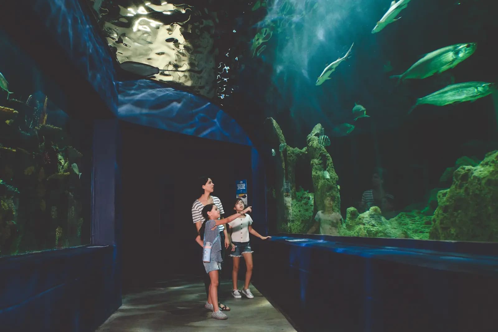 A mother and two girls walk through an aquarium tunnel, one girl pointing up at the fish.