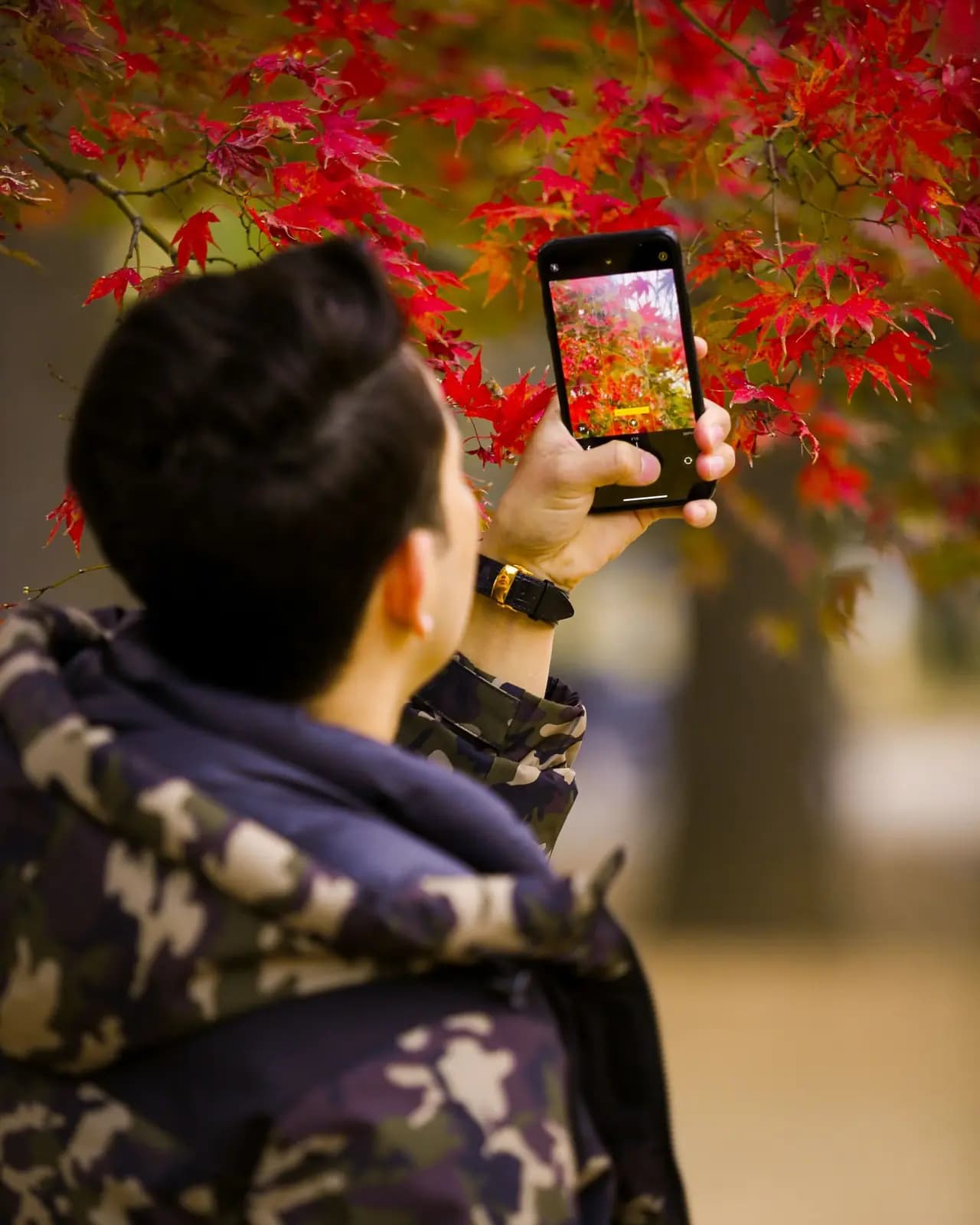 Someone on an autumn walk photographs red leaves with a phone.